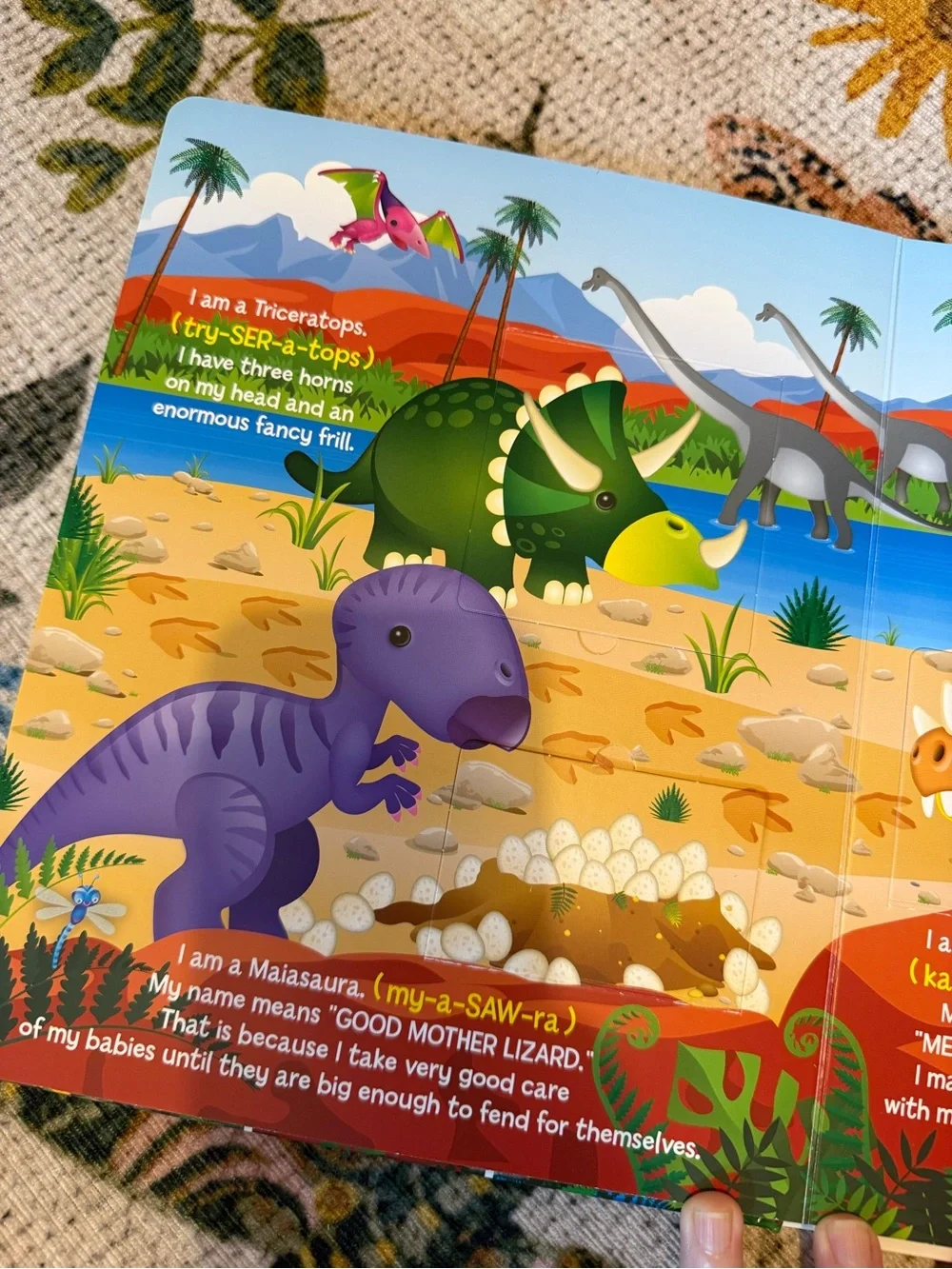 Lift-the-Flap Dinosaurs 🦕 Book - like new